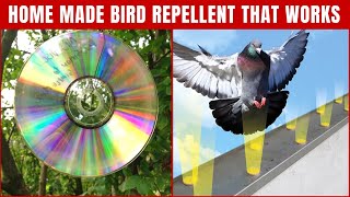 Homemade Bird Repellents to Keep Birds Away That Works 100  Top Repellents [upl. by Howlan]