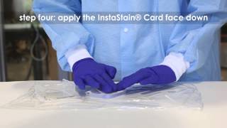 Staining Agarose Gels using Instastain Ethidium Bromide [upl. by Yrkcaz880]