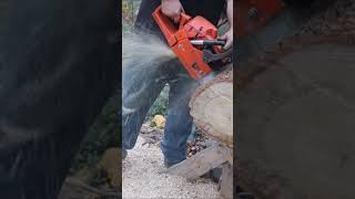 chainsaw husqvarna 261 portedchainsaw [upl. by Jer]