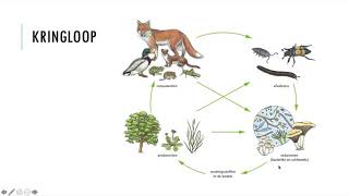 Kader 2  KRINGLOOP VAN WATER EN KOOLSTOF  Thema 6  Ecologie Basisstof 6 en basisstof 7 [upl. by Sunny774]