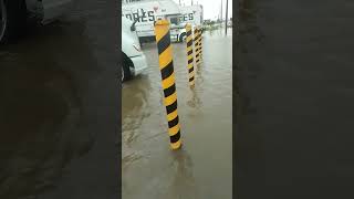 Coatzacoalcos inundado [upl. by Leahplar]