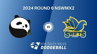 2024 NSWDL R6 Mixed Div 2 Penrith Pandas vs Sydney Swifts [upl. by Reiser775]