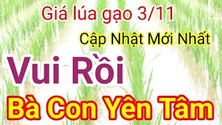 Giá lúa amp gạo hôm nay 3112024 Bảng giá lúa  Tăng mạnh 1000 đến 1200 đồng lúa OM18 [upl. by Hyozo]