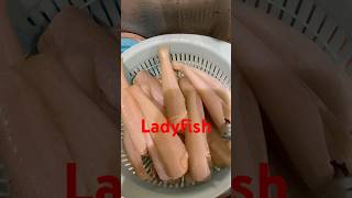 Crispy fried ladyfishfish ladyfish shortvideo crispyfriedfish [upl. by Mosier]