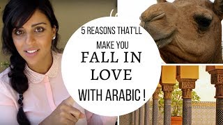 5 Reasons Thatll Make You Fall in Love with Arabic 1 [upl. by Iznil]