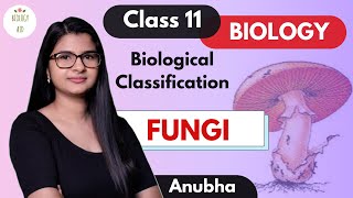 Class 11  Kingdom Fungi  NCERT [upl. by Miarzim817]