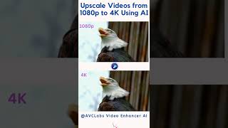 Upscale Lowquality Videos from 1080p to 4K Using AVCLabs Video Enhancer AI [upl. by Anneh306]