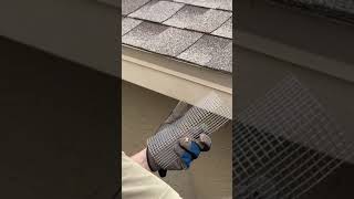 Squirrel deterrent for attic  roof soffit [upl. by Keldon612]