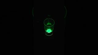 Glow stick எப்படி எரியுது  Ask Chitti  14  chittitamil questions chemiluminescence [upl. by Yrgoerg657]