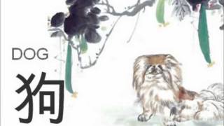 2012 Forecast  Dog Chinese Astrology by Sabrina Liao2 [upl. by Loma]