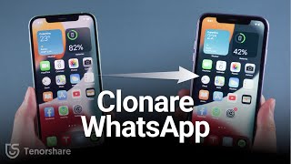 Come Clonare laccount WhatsApp su un altro Telefono  da AndroidiPhone a iPhone [upl. by Notkcorb779]