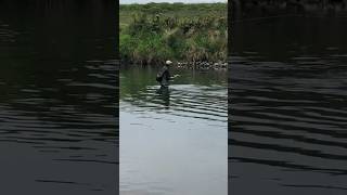 Salmon fishing Chilliwack BC Canada [upl. by Nav]