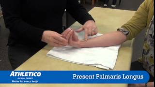 What is a Palmaris Longus [upl. by Goth185]