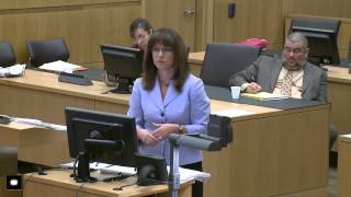 Jodi Arias Trial Day 41 Full [upl. by Eneleuqcaj841]