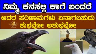 Nandi Tv Karnataka  ನಿಮ್ಮ ಕನಸಲ್ಲಿ ಕಾಗೆ ಬಂದರೆ ಅದರ ಪರಿಣಾಮ ಏನಾಗಬಹುದು ಶುಭವೋ ಅಶುಭವೋ [upl. by Irallih169]