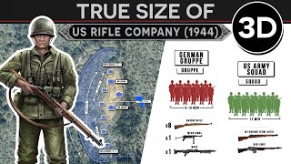 How the US Goes to War  Anatomy and Tactics of an Army Rifle Company June 1944 3D DOCUMENTARY [upl. by Cavit]