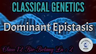 Dominant Epistasis in tamil  Classical Genetics [upl. by Anawqahs]