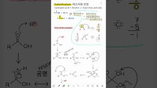 1분화학 형식전하 옥소늄이온 하이드로늄이온 강산 수소이온 염기 엄마표 [upl. by Carisa695]