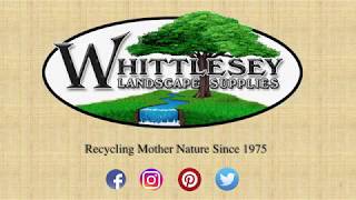 Who is Whittlesey [upl. by Oznofla531]