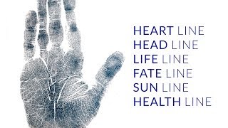 Palmistry Fate Line Head Line Heart Line Life Line Sun Line Health Line Analysis 312 [upl. by Althea]