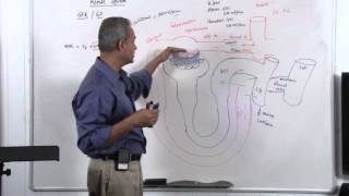 Renal System GFR Glomerular Filtration Rate 714 [upl. by Lelah512]