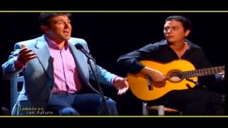 Manuel Cuevas interpreta tangos en quotFlamencosquot  Flamenco en Canal Sur [upl. by Ydnerb]