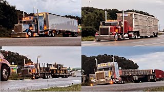 Some of the CLEANEST Big Rigs Jake Breaks and Train Horns down at Whites Truck Stop VA [upl. by Conny]