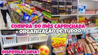 COMPRAS DO MÊS  ORGANIZANDO A COMPRA DO MÊS NO ARMÁRIO  TUDO EM ORGANIZADORES  ASMR 😍 [upl. by Snider49]