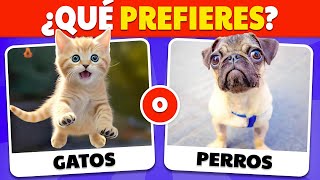 ¿Qué prefieres Edición Animales 🐶🐱 [upl. by Codel60]