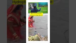 बिहार में छठ पूजा के दौरान Hydrophis snake देखा गया chathpuja biharisnake khansirpatna khansir [upl. by Tavi]