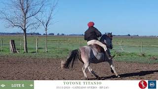 6 TOTONE TITANIO [upl. by Akineg]