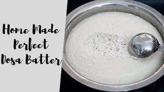 పర్ఫెక్ట్ దోస పిండి Perfect Dosa Batter Recipe Telugu [upl. by Sihun237]