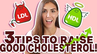 How to Raise HDL Cholesterol NATURALLY 3 EASY STEPS [upl. by Ycnuahc]