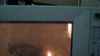 Microwave magnetron burning out [upl. by Pyne]