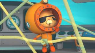 3x14 Les Octonauts et la méduse à crinière de lion [upl. by Ninaj]