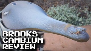 Brooks C17 Cambium 2 Year Review [upl. by Dirk860]