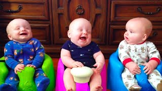 Cute Triplet and Twin Baby Videos for daily Dose of Laugher [upl. by Linc]