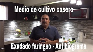 Medio de cultivo casero para exudado faringeo y antibiograma [upl. by Augusto184]