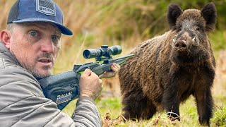 This Took 500 Years The NEW Beretta BRX1 and Burris Eliminator 6 vs Wild Boar Catch n Cook [upl. by Festus]