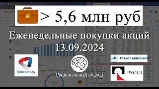 61 Еженедельные покупки Распадская Северсталь Русал Новатэк 13092024 [upl. by Yenrab982]