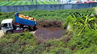 Completed project by Dozer D20 20 amp 5T Truck pushing stone into water [upl. by Ymmot556]