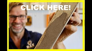 How to Repair Wood Rot Dry Rot and Wet Rot [upl. by Grigson]