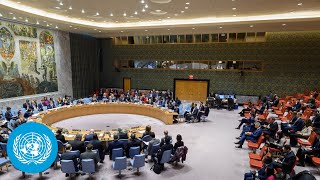 Ukraine Emergency Security Council Meeting full  United Nations [upl. by Rosemaria]