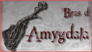 Bloodborne Moveset amp Astuces  Bras dAmygdala [upl. by Noseaj]