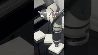 Turbocharge your production with vacuum gripper pick and place [upl. by Wenn684]