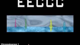 Elution Extrusion Countercurrent Chromatography EECCC [upl. by Dobb]