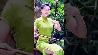 The Skill of the Beautiful Master Zhao Luyu Playing a Difficult Traditional Chinese Music on Erhu [upl. by Kramlich]