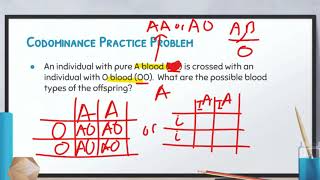 Biology Video 72 Complex Inheritance Patterns [upl. by Guinn873]