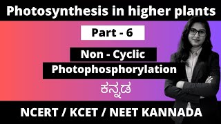 Photosynthesis in higher plants Part 6  Non cyclic Photophosphorylation biologyinkannada 1stpuc [upl. by Nylrac389]