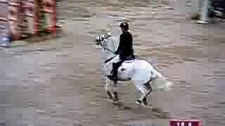 hoys  148cm showjumper of the year [upl. by Namso]